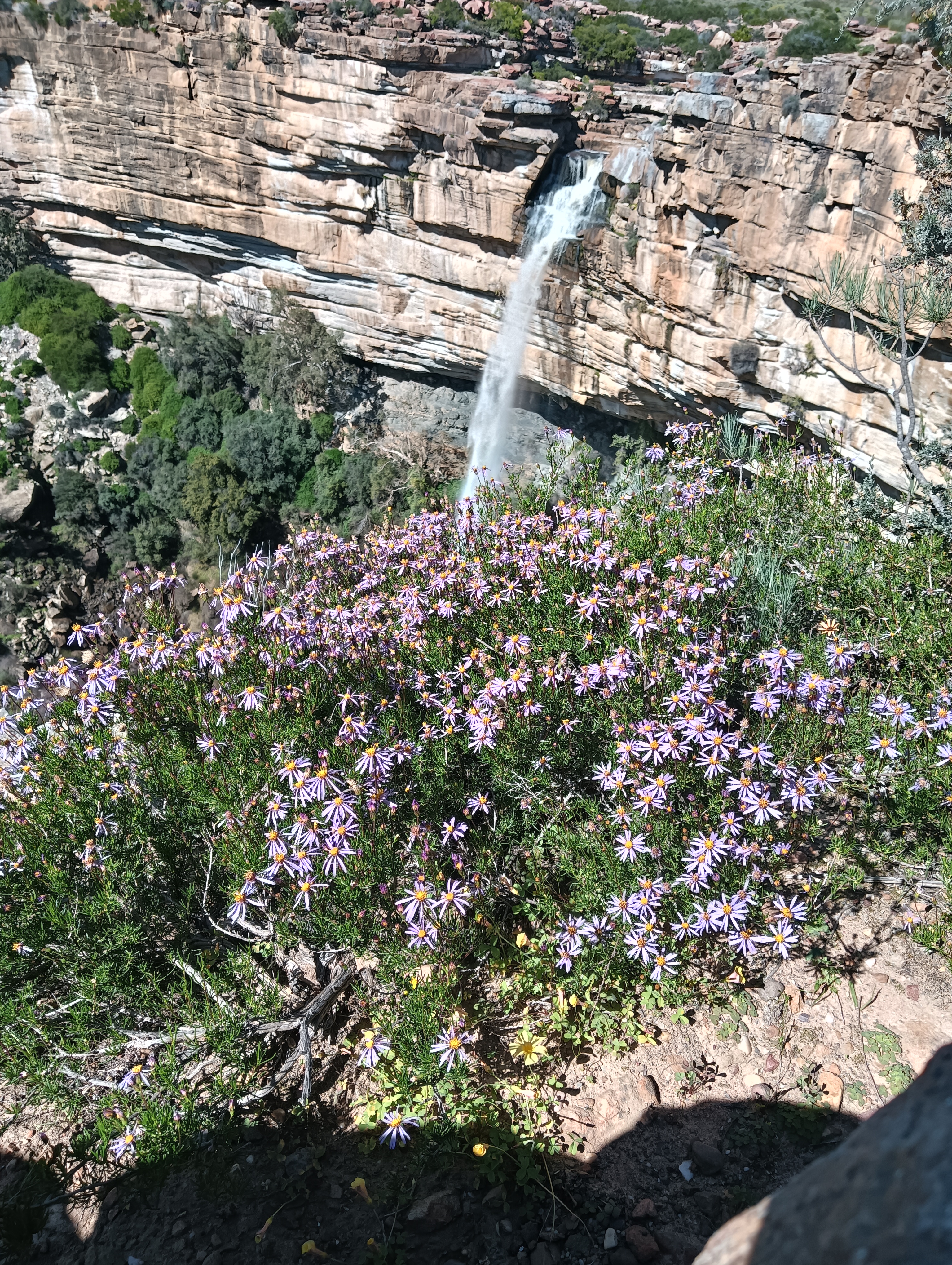 Nieuwoudtville Water Falls